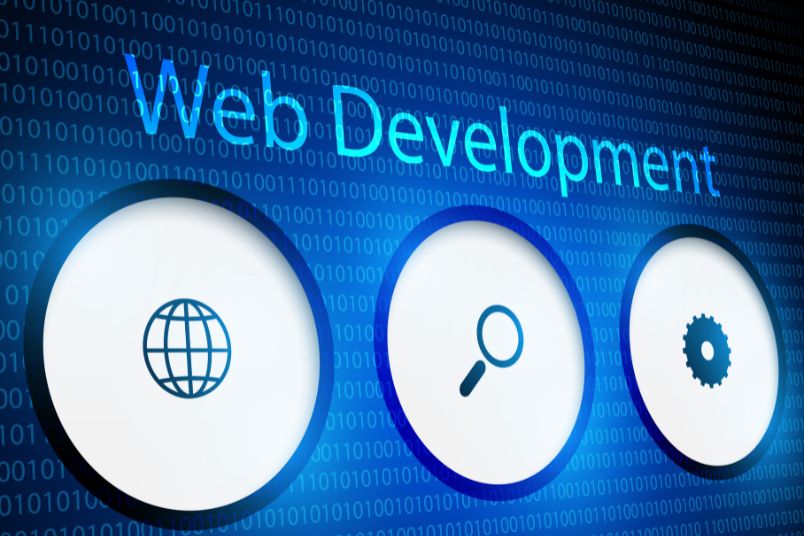 healthcare website development